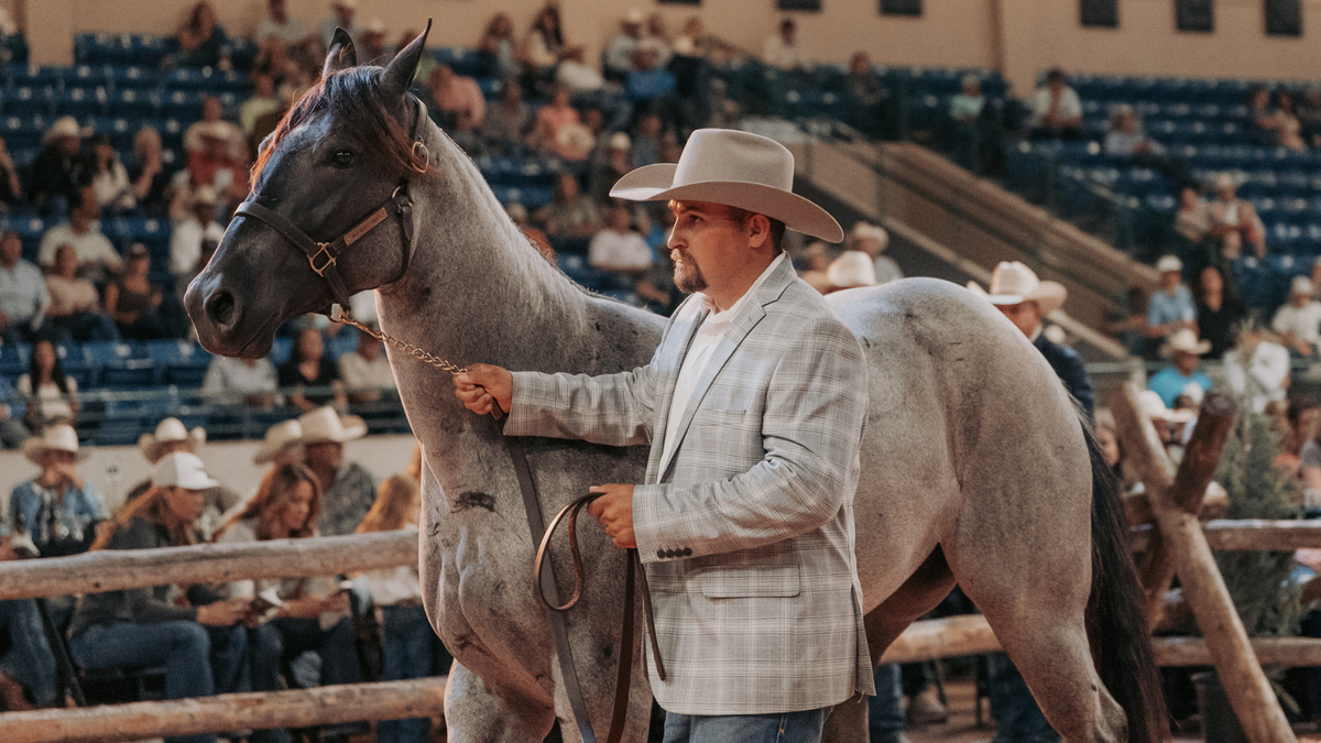Old West Rope Horse Futurities and Horse Sales – Old West Roping